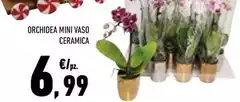Orchidea - Mini Vaso Ceramica Orchidea - Mini Vaso Ceramica