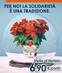 Stella - Di Natale Stella - Di Natale