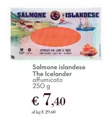 The Icelander - Salmone Islandese The Icelander - Salmone Islandese