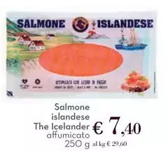 The icelander - Salmone Islandese The icelander - Salmone Islandese