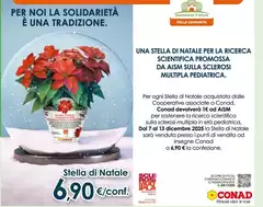 Stella - Di Natale Per La Ricerca Stella - Di Natale Per La Ricerca