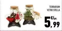 Stella - Terrarium Vetro Stella - Terrarium Vetro