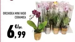 Orchidea - Mini Vaso Ceramica Orchidea - Mini Vaso Ceramica