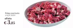 Podo - Polpo Marinato
