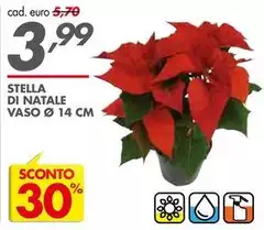 Stella - Di Natale Vaso 14 Cm Stella - Di Natale Vaso 14 Cm