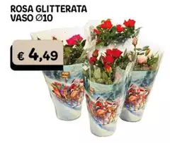 Rosa Glitterata Vaso Ø10 Rosa Glitterata Vaso Ø10
