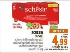 Schesir - Buste Schesir - Buste