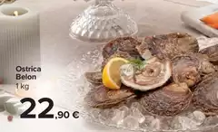 Ostrica Belon Ostrica Belon