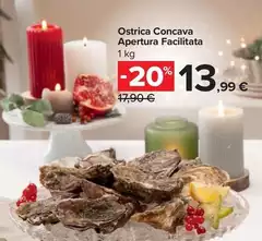 Ostrica Concava Apertura Facilità Ostrica Concava Apertura Facilità