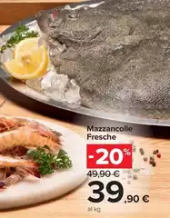 Mazzancolle Fresche Mazzancolle Fresche