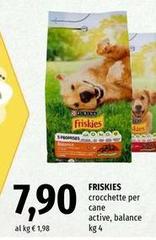 Friskies - Crocchette Per Cane Active