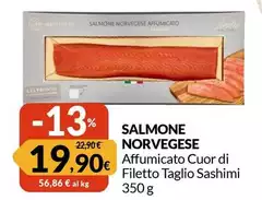 Salmone Norvegese Salmone Norvegese