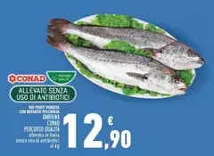 Conad - Percorso Qualità Conad - Percorso Qualità