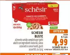 Schesir - Buste Schesir - Buste