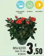 Rosa Glitter Rosa Glitter