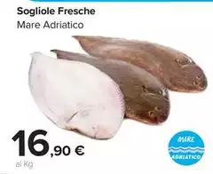 Sogliole Fresche Sogliole Fresche