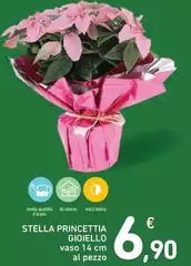 Gioiella - Stella Princetta Gioiella - Stella Princetta