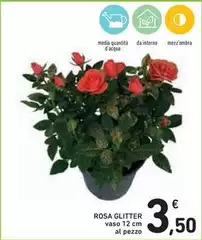 Rosa Glitter Rosa Glitter