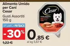 Cesar - Alimento Umido Per Cani Cesar - Alimento Umido Per Cani