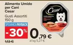 Cesar - Alimento Umido Per Cani Cesar - Alimento Umido Per Cani