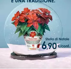 Conad - Stella Di Natale Conad - Stella Di Natale