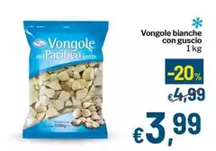 Vongole Bianche Con Guscio Vongole Bianche Con Guscio