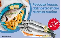 Marè - Branzino Creacia Marè - Branzino Creacia