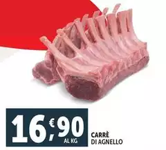 Carrè Di Agnello Carrè Di Agnello