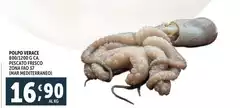 Polpo Verace Polpo Verace