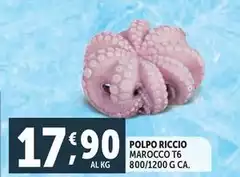 Polpo Riccio Polpo Riccio