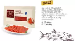Sockeye - Salmone Selvaggio Dell'Alaska Sapori&Idee Sockeye - Salmone Selvaggio Dell'Alaska Sapori&Idee