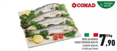 Conad - Trota Salmonata Conad - Trota Salmonata