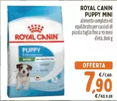 Royal Canin - Puppy Mini