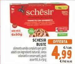 Schesir - Buste Schesir - Buste