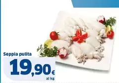 Seppia Pulita Seppia Pulita