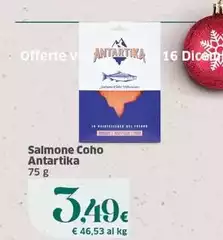 Salmone Coho Salmone Coho