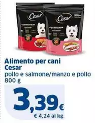 Cesar - Alimento Per Cani Cesar - Alimento Per Cani