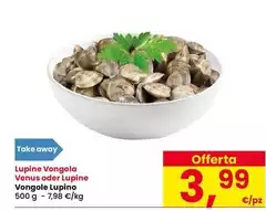 Venus - Lupine Vongole Lupino Venus - Lupine Vongole Lupino