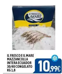 Mare - Il Fresco E Il Mazzancolla Intera Ecuador 30/40 Congelato Mare - Il Fresco E Il Mazzancolla Intera Ecuador 30/40 Congelato