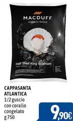 Macduff - Cappasanta Atlantica Macduff - Cappasanta Atlantica