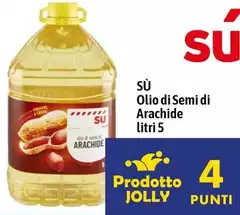 Semi - Olio Di Di Arachide Semi - Olio Di Di Arachide