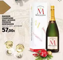 Magnum - Champagne Brut Reserve Premiere Magnum - Champagne Brut Reserve Premiere