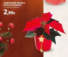 Stella - Confezione Regalo Di Natale Stella - Confezione Regalo Di Natale