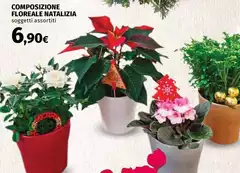 Composizione Floreale Natalizia Composizione Floreale Natalizia