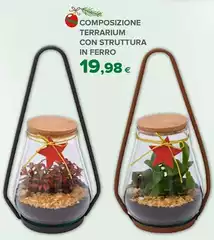 Composizione Terrarium Con Struttura In Ferro Composizione Terrarium Con Struttura In Ferro