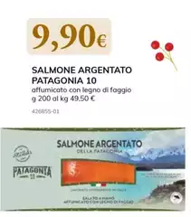 Patagonia - Salmone Argentato Patagonia - Salmone Argentato