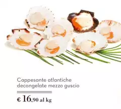 Cappesante Atlantiche Decongelate Mezzo Guscio Cappesante Atlantiche Decongelate Mezzo Guscio