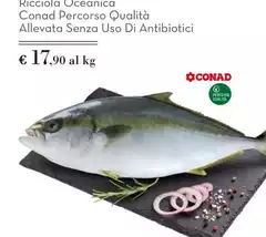 Conad - Ricciola Oceanica Percorso Qualità Allevata Senza Uso Di Antibiotici Conad - Ricciola Oceanica Percorso Qualità Allevata Senza Uso Di Antibiotici
