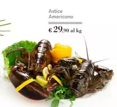 Astice Americano Astice Americano