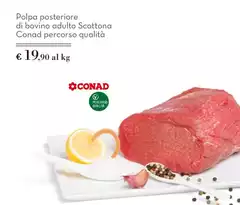 Conad - Polpa Posteriore Di Bovino Adulto Scottona Percorso Qualità Conad - Polpa Posteriore Di Bovino Adulto Scottona Percorso Qualità